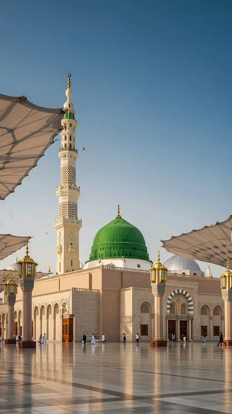 دليل المدينة